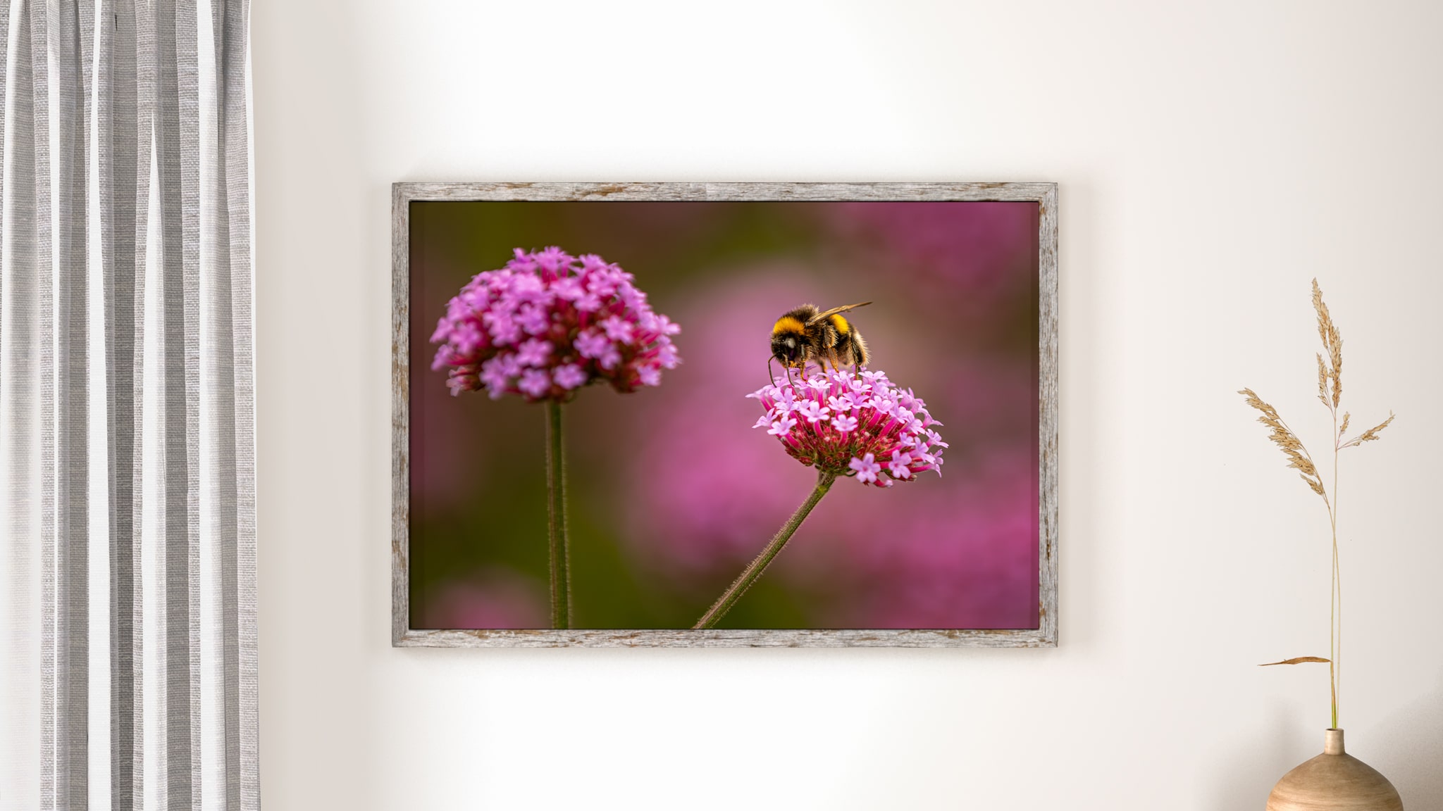 Bee-life-framed-vstudio-fine-art