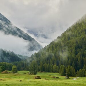 fine art print landscape morning field